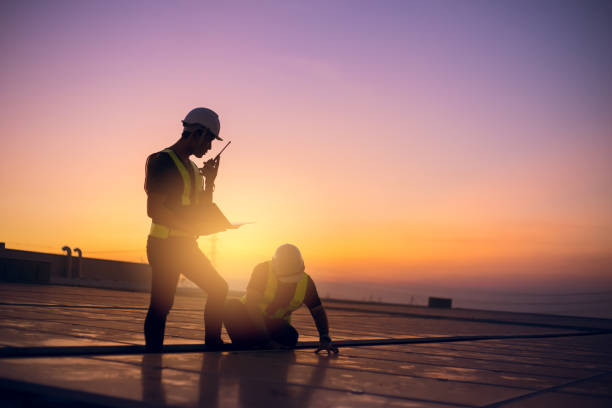 Best Roof Moss and Algae Removal  in Warner Robins, GA