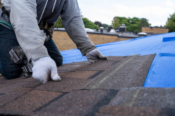 Emergency Roof Repair in Warner Robins, GA